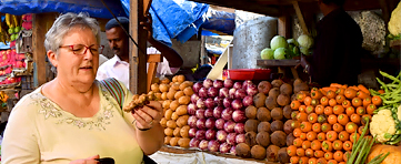 day tours cochin