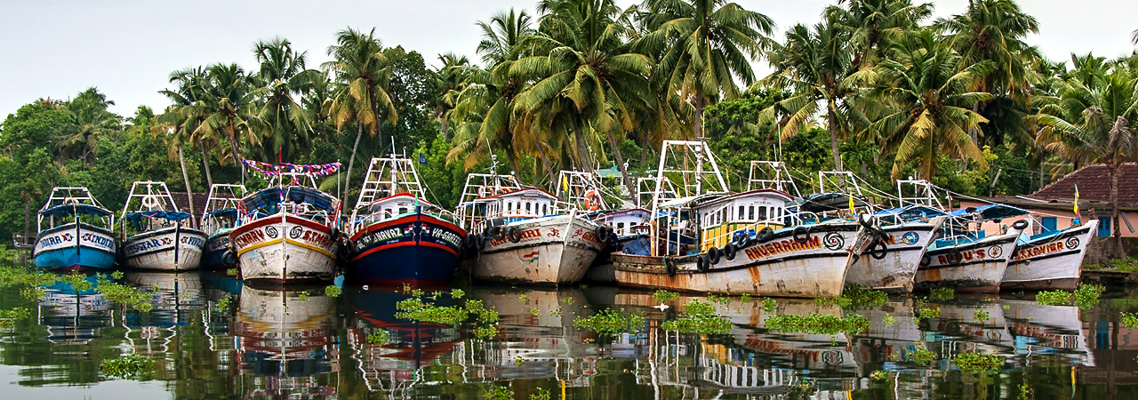 day tours cochin